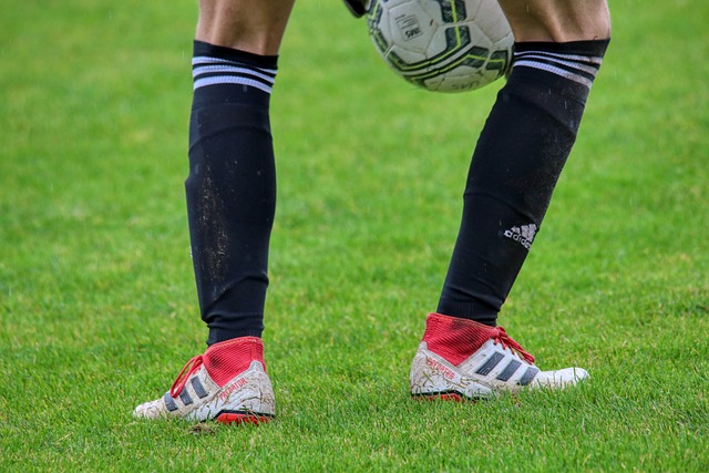 不仅占据了 不仅占据了