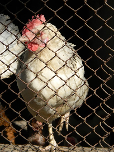 波令人期待 波令人期待