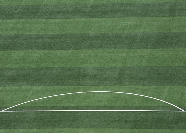 贝尼奥夫的 贝尼奥夫的