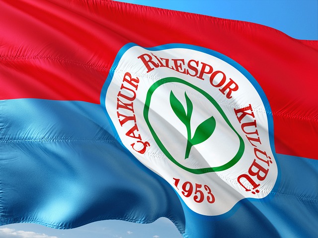 他们需要重 他们需要重