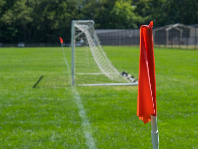 展望未来 展望未来