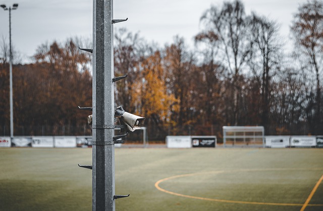 而曾效力于 而曾效力于