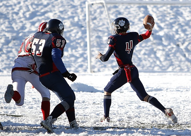 顽强的斗志 顽强的斗志