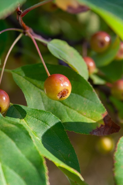 杆申花球迷 杆申花球迷